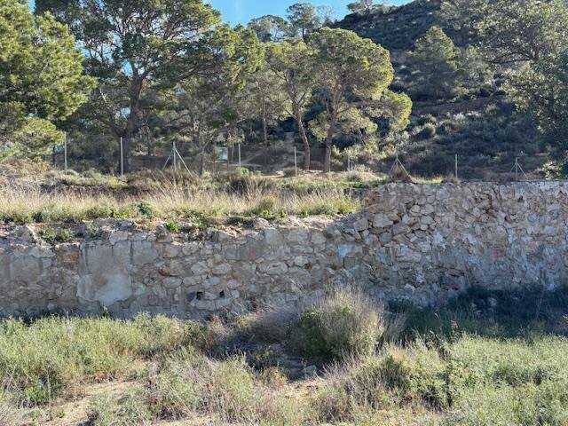 Murs de terrasse d'Aigües Busot