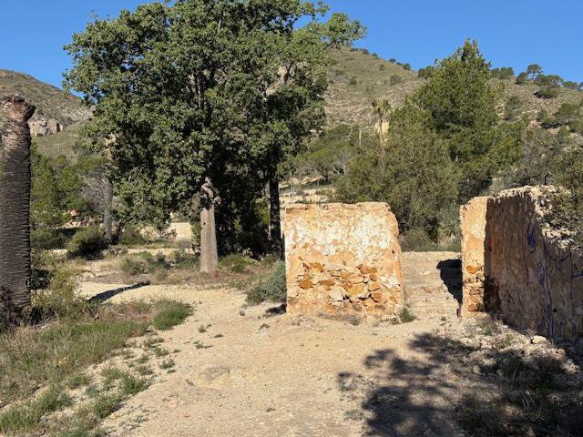 Ruines du site d'Aigües Busot